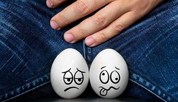 男人的蛋蛋你真的了解吗？男人睾丸的真实作用